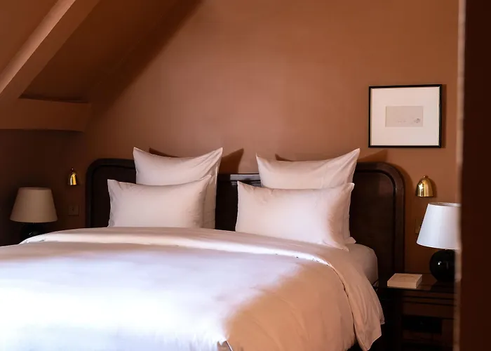 Rochechouart - Orso Parijs