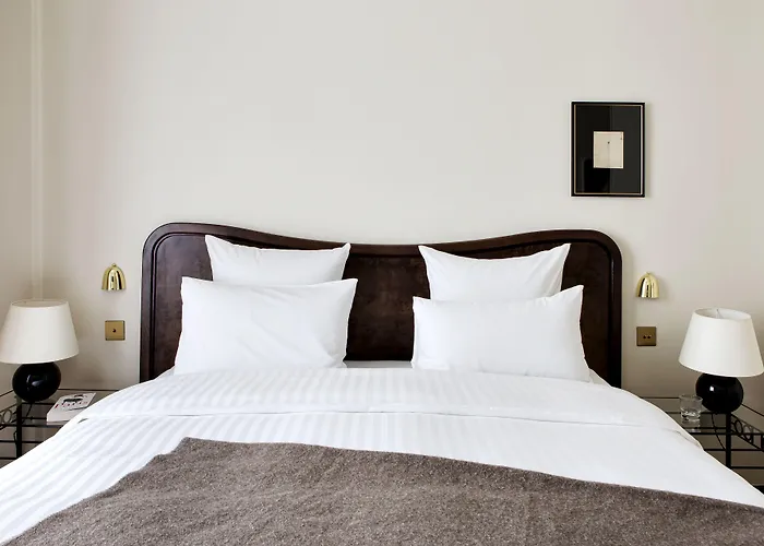 Hotel Rochechouart - Orso